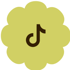 TikTok logo